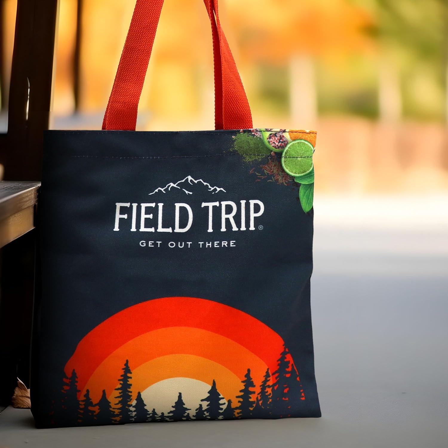 Field Trip Gift Bag (8 Snacks + Canvas Tote)